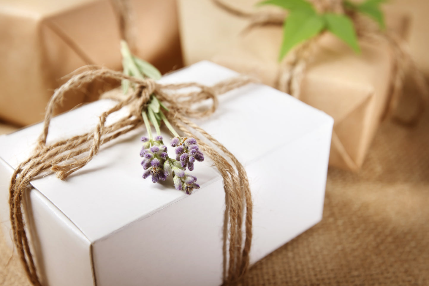 Bed, Book, and Beyond Mystery Box Set (Romance Genre)